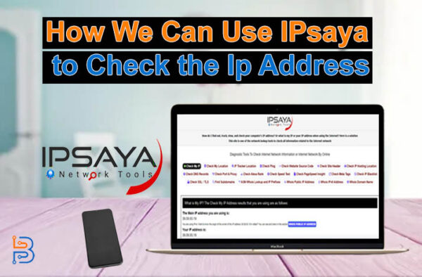 Как мы можем использовать IPsaya для проверки IP-адреса