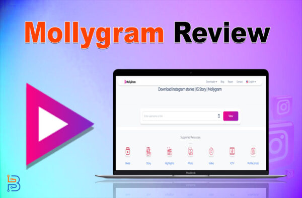 Обзор Mollygram Instagram Story Viewer – Полное руководство