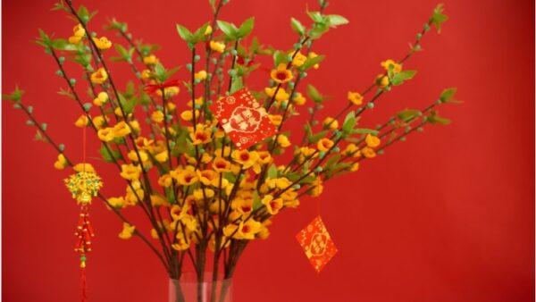 История и эволюция китайских новогодних цветочных композиций