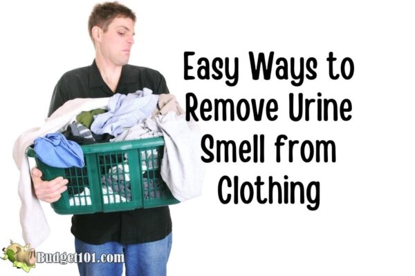 Простые способы удалить запах мочи с одежды