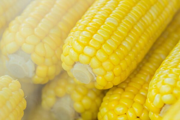 Лучшие рецепты пюре из кукурузы – Panelaterapia