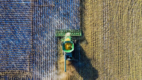 Як забезпечити безпечне застосування пестицидів на полі